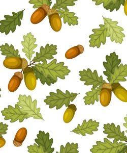 Acorns and Oak Leaves